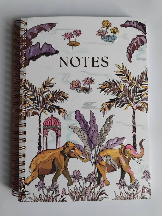 CARNET DE NOTES SPIRALES