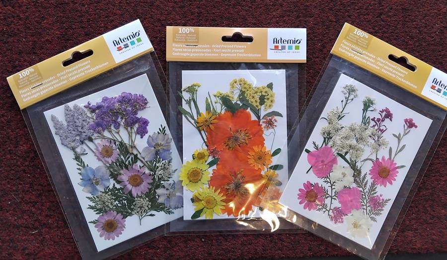 fleurs séchées